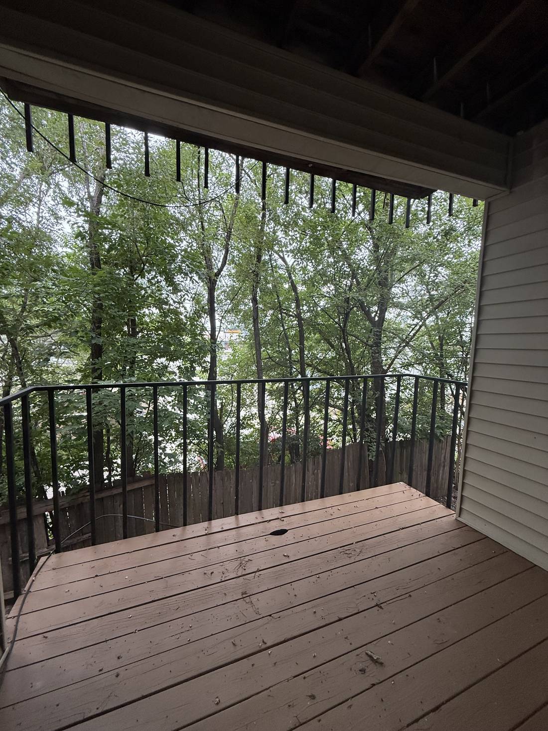 A wood deck balcony with a black steel railing and a wood plank ceiling, looking out into the green canopy of mature trees.